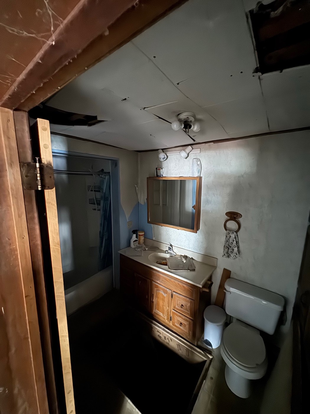 Before: Bathroom Renovation